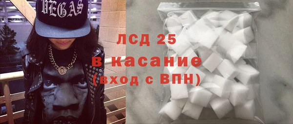 индика Вязники