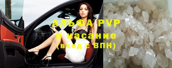 стафф Гусев