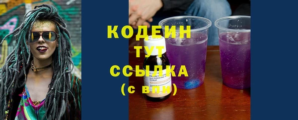 индика Вязники