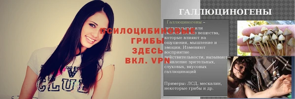стафф Гусев