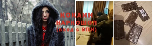 индика Вязники