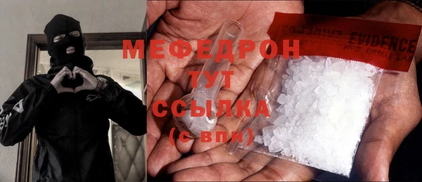 индика Вязники