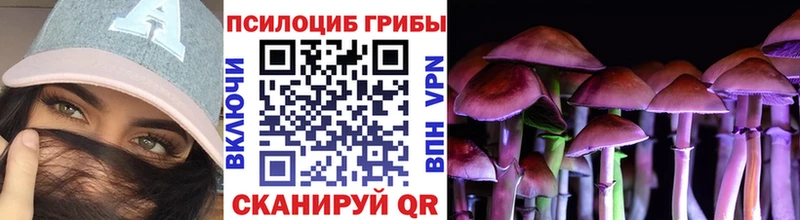 Галлюциногенные грибы ЛСД  где купить наркоту  Дагестанские Огни 